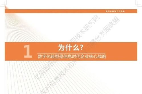 现在外包做什么赚钱快点，数字化时代的创新业务模式探索
