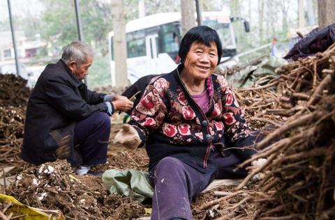 国外老年人赚钱的方式与启示，活力无限的退休生活新篇章