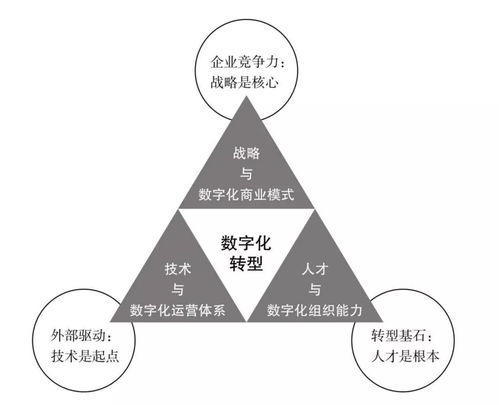把握先机，赚钱新时代的转型战略