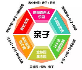 小投资大收益，探索最佳的投资策略以实现财富增值
