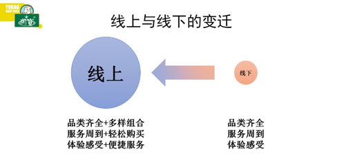 毕业生回家如何寻找赚钱之路，多重策略与前景展望