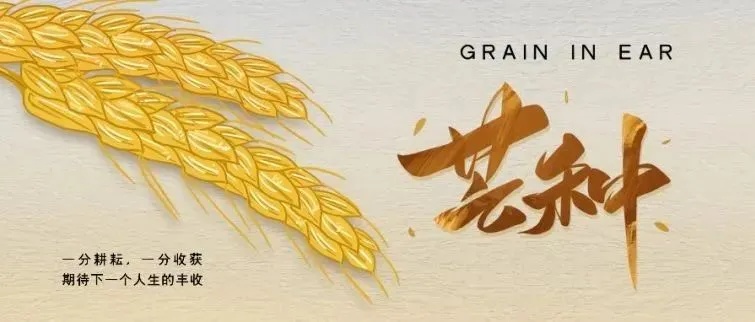 芒种时节商机无限，探寻快速赚钱生意之道