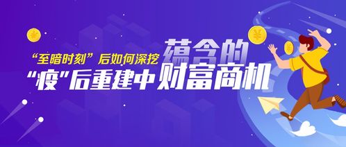 闽南人的商机之旅，挖掘财富潜质的优选行业领域