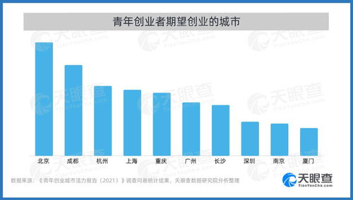 揭秘当下最赚钱的项目，洞察市场趋势，探寻创业黄金点