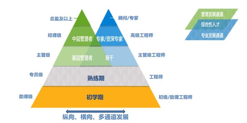 探索西部，大学生如何利用职业路径在西部赚钱发展
