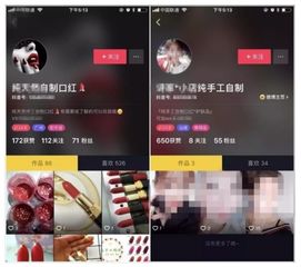 抖音热门手工项目，探索赚钱新领域，手工爱好者的致富之路