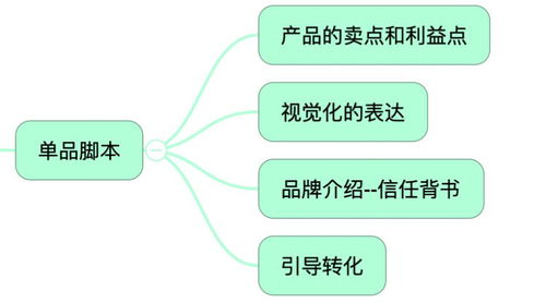 带货主播运营，抓住商机，高效盈利的策略与关键要素