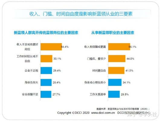 蓝衣人的多元职业路径，探索赚钱之道