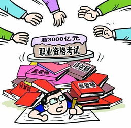 揭秘暴利行业背后的真相，探索最赚钱领域的暴力现象与反思