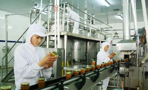 打造收益稳健的图文博客，发掘适合你的类型