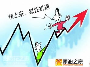 大男人做什么家务最能赚钱，跨界领域的无尽机遇与挑战