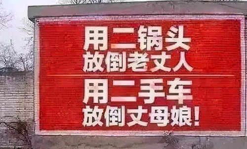 五万起步，开启创业致富之路——探究55万适合做什么生意