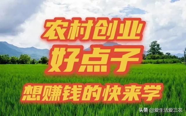 农村村庄里赚钱最快的方式，多元化经营与创新策略结合