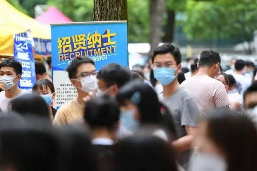 高校就业形式怎么样 高校就业形式怎么样