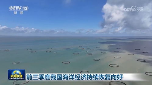 在三沙，挖掘海洋经济潜力的商机与策略