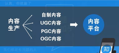 以创新和差异化的经营策略，探索餐饮外卖行业的赚钱之道