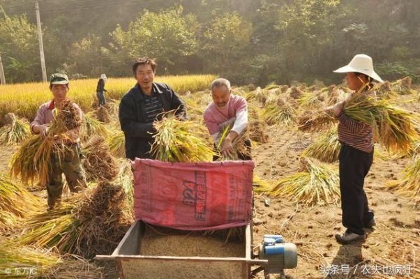 农民做什么最累工作赚钱 农民做什么最累工作赚钱呢