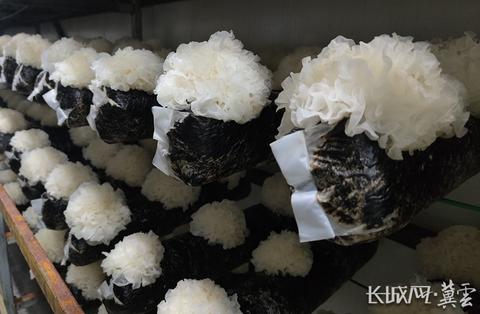 串串楼下如何洞察商机,掘得金山——多角度探析楼下的致富有道 串串楼下如何洞察商机,掘得金山——多角度探析楼下的致富有道