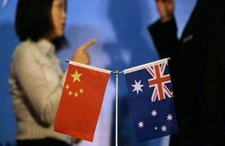 政府关系在生意中的多维利用与商机探索