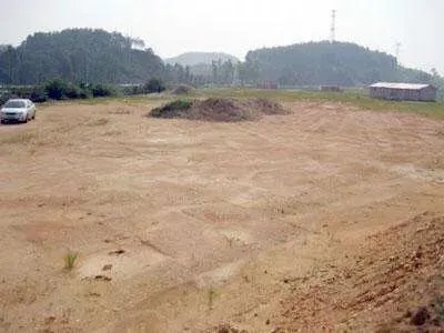 空地能做什么最赚钱呢 空地能做什么最赚钱呢视频