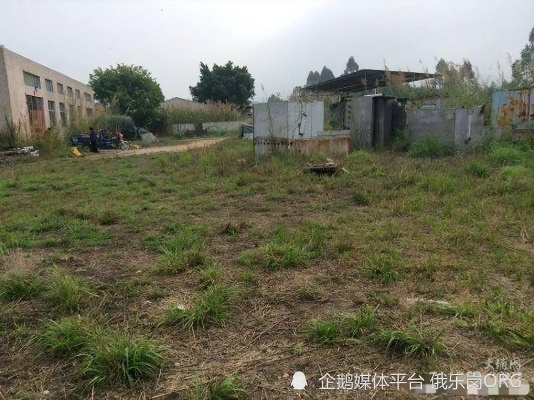 空地能做什么最赚钱呢 空地能做什么最赚钱呢视频