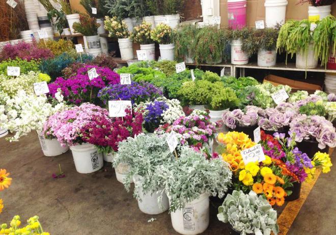 仿真花店兼职做什么好赚钱 仿真花店兼职做什么好赚钱