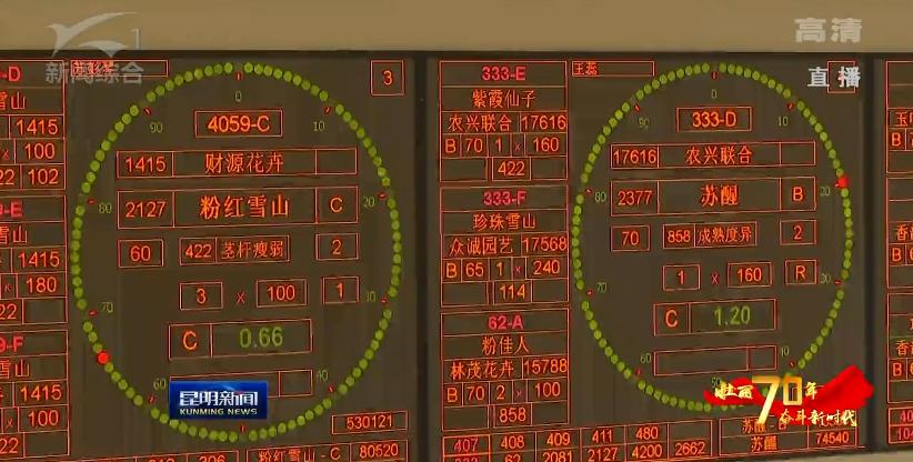 在昆明做什么电商赚钱多？