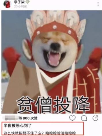 李子柒做什么事业赚钱多