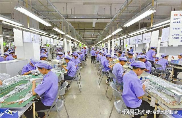 光学电子厂做什么产品赚钱