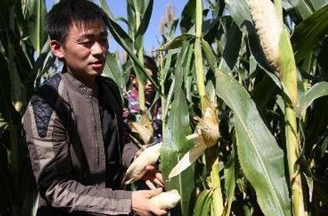 夜市都能做什么小吃卖赚钱