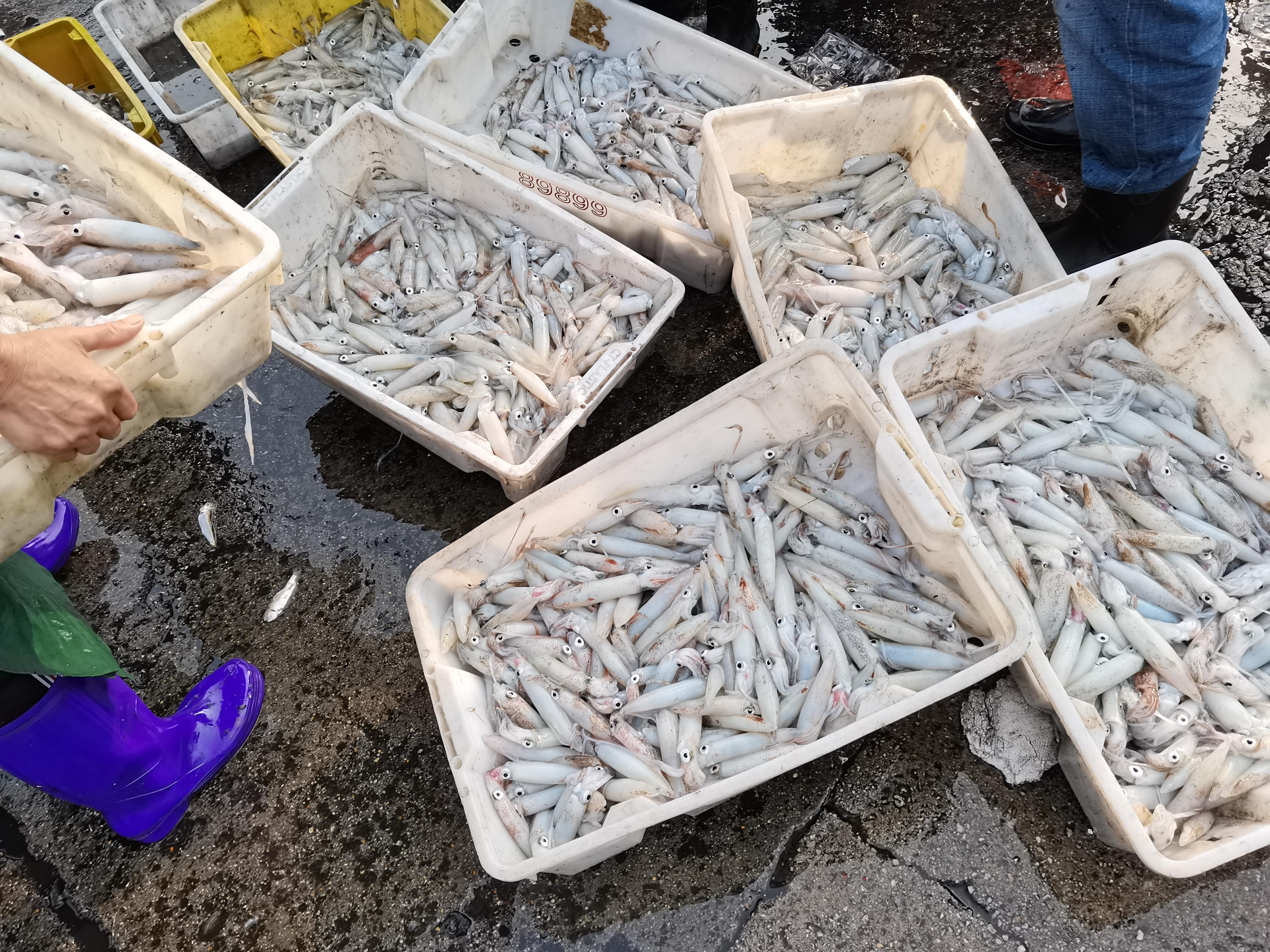 北海码头做什么赚钱快呢？
