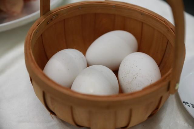 大鹅做什么工作赚钱的多？