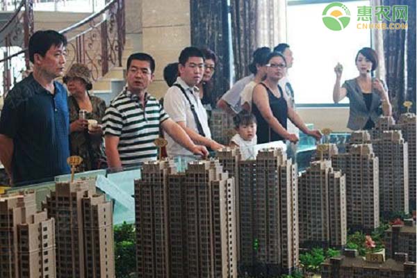 大面积房产做什么生意赚钱