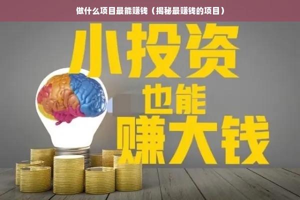 开发公司能做什么项目赚钱