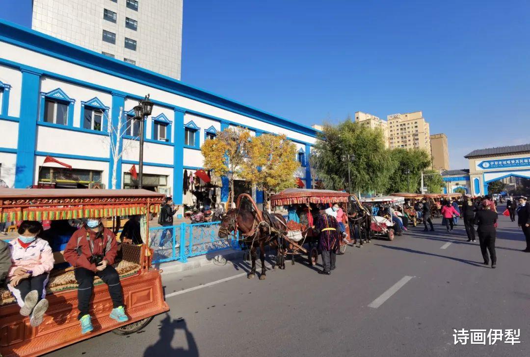 伊宁市做什么行业可以赚钱
