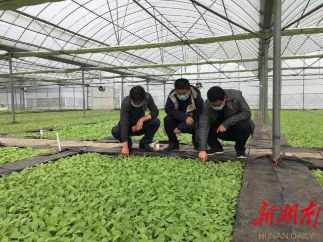 二月天做什么农活赚钱