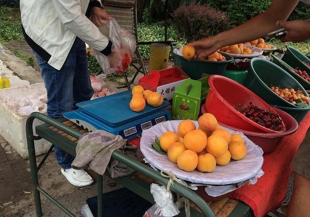 农村在家做什么生意好赚钱呢？