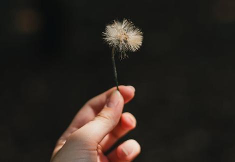 宝妈做什么比较有前景赚钱？