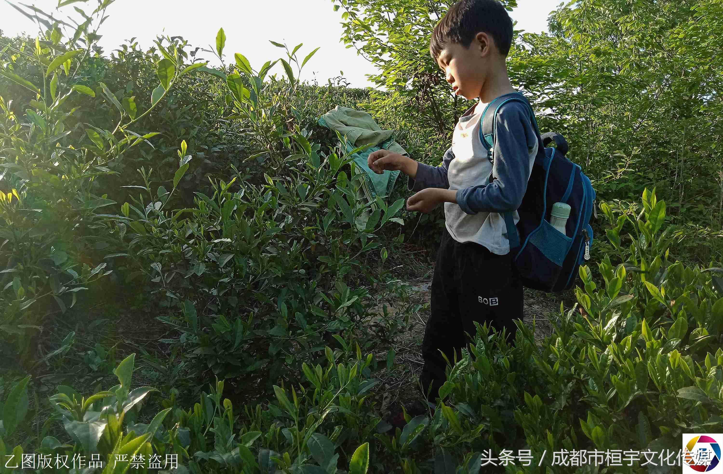 信阳现在做什么生意赚钱
