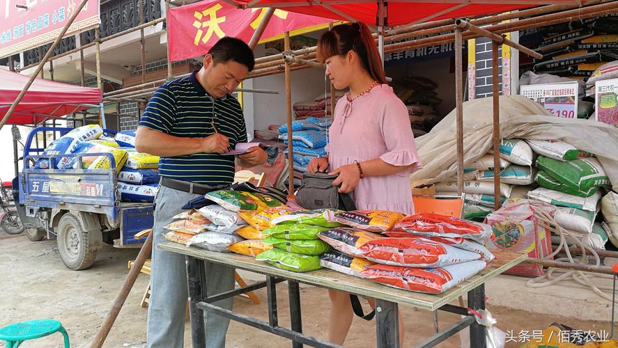 龙村可以做什么生意赚钱