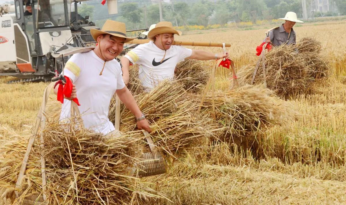 直播做什么容易带流量赚钱 直播靠流量怎么赚钱
