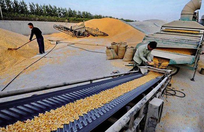 粮食做什么好卖赚钱快 做粮食生意赚钱吗 粮食做什么好卖赚钱快 做粮食生意赚钱吗
