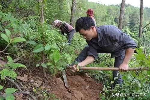 在山上能做什么小生意赚钱 在山上能做什么小生意赚钱快