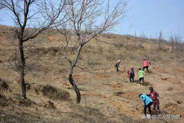 在山上能做什么小生意赚钱 在山上能做什么小生意赚钱快