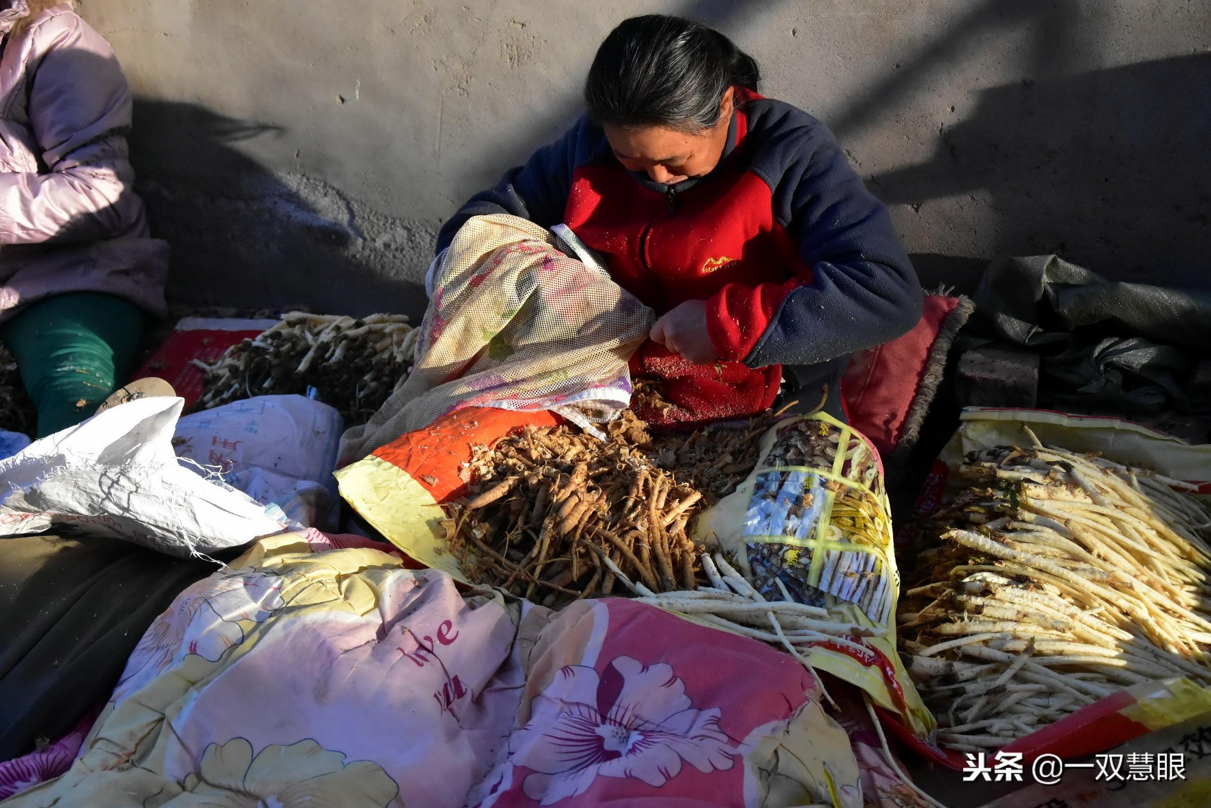 二十年做什么赚钱呢 二十年能做什么