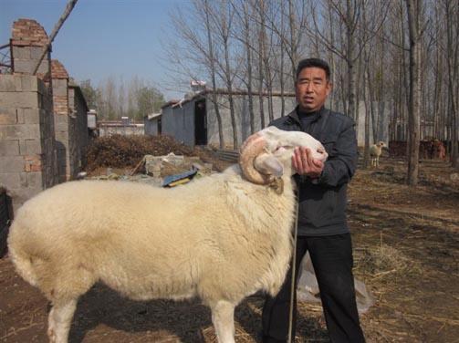 50左右做什么生意好赚钱 五十左右想创业干什么