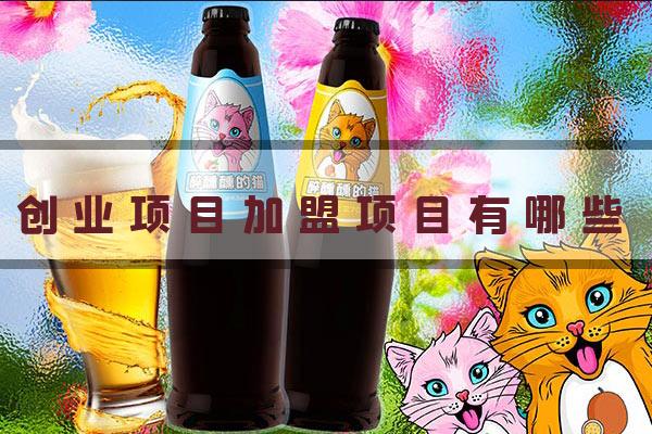 陇南倾洪能量项目加盟，实现你的创业梦想