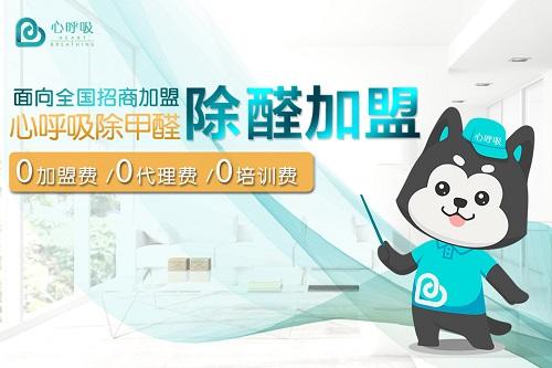 广东专业除甲醛项目加盟，开启创业新篇章