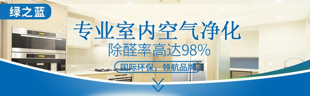 除甲醛加盟项目，健康家居的守护者