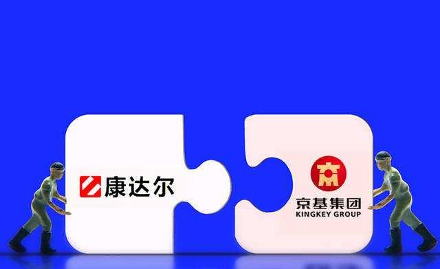 加盟小项目的公司有哪些？